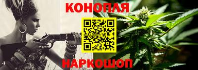 гашик Жуковский